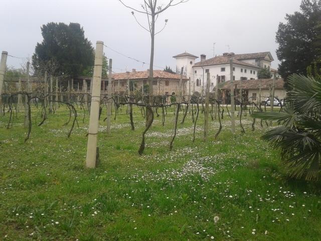 Alloggio Agrituristico Conte Ottelio Pradamano Exterior photo
